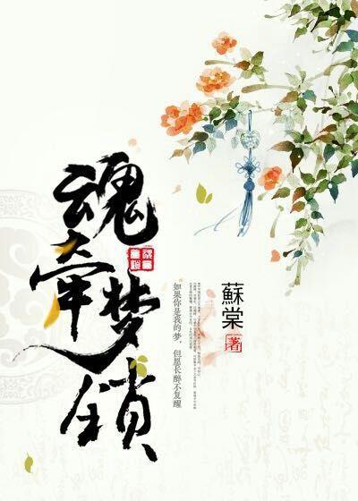 [快穿]魂牵梦锁封面