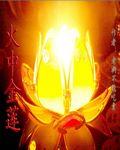 火中金莲封面