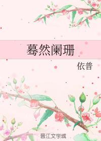 蓦然阑珊封面