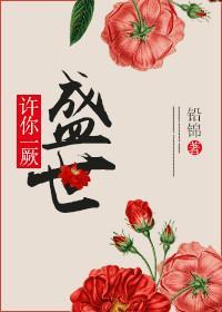 许你一厥盛世封面