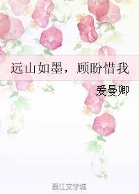 远山如墨，顾盼惜我封面