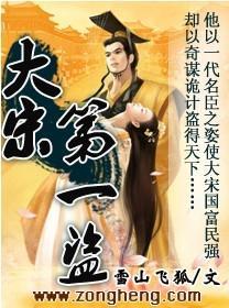 大宋第一盗封面