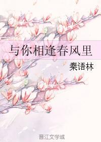 与你相逢春风里封面