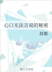 心口无法言说的秘密封面