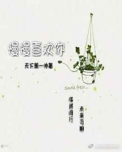 慢慢喜欢你封面