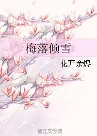 梅落倾雪封面