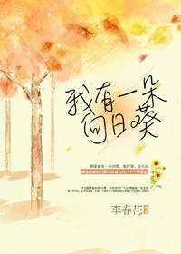 我有一朵向日葵封面