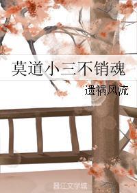 莫道小三不销魂封面