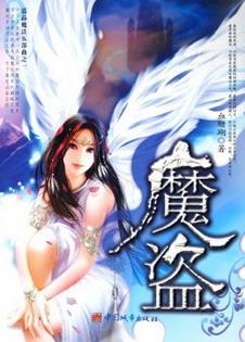 魔盗封面