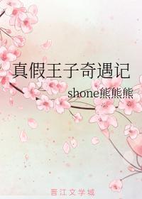 真假王子奇遇记封面