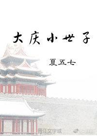大庆小世子封面
