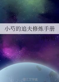 小芍的追夫修炼手册封面