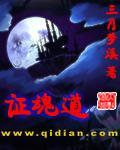 证魂道封面