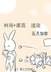柯南+灌篮 迷途封面
