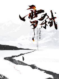 雪弒封面