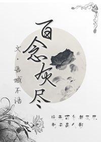 百念灰尽封面