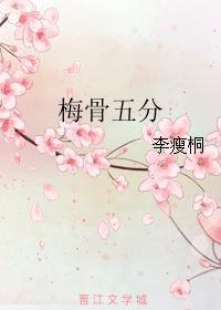 梅骨五分封面