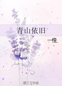 青山依旧封面