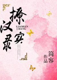 撩汉实录封面