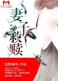 妻子的救赎封面