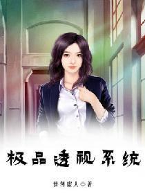 极品透视系统封面