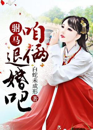 驸马，咱俩退婚吧！封面