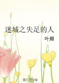 迷城之失足的人封面