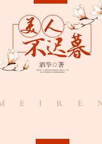 美人不迟暮封面