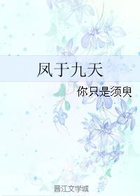 凤于九天封面