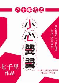 八十年代之小心翼翼封面
