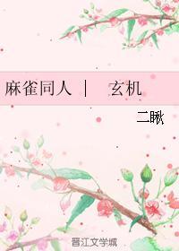 麻雀同人玄机封面