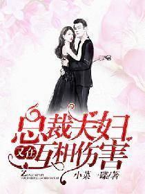 总裁夫妇又在互相伤害封面