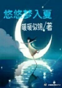 悠悠梦入夏封面