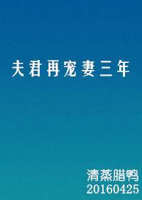 夫君再宠妻三年封面