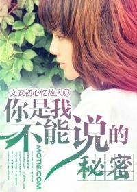 你是我不能说的秘密封面