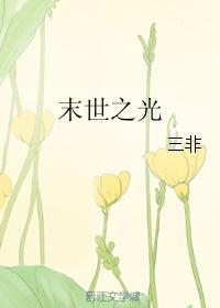 末世之光封面
