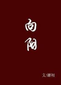 向阳封面