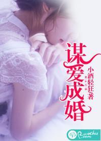 谋爱成婚封面