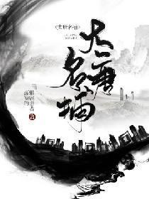 大唐名捕封面
