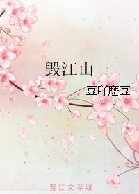 毁江山封面