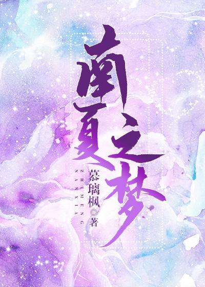 南夏之梦封面