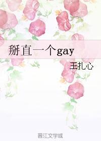 掰直一个gay封面