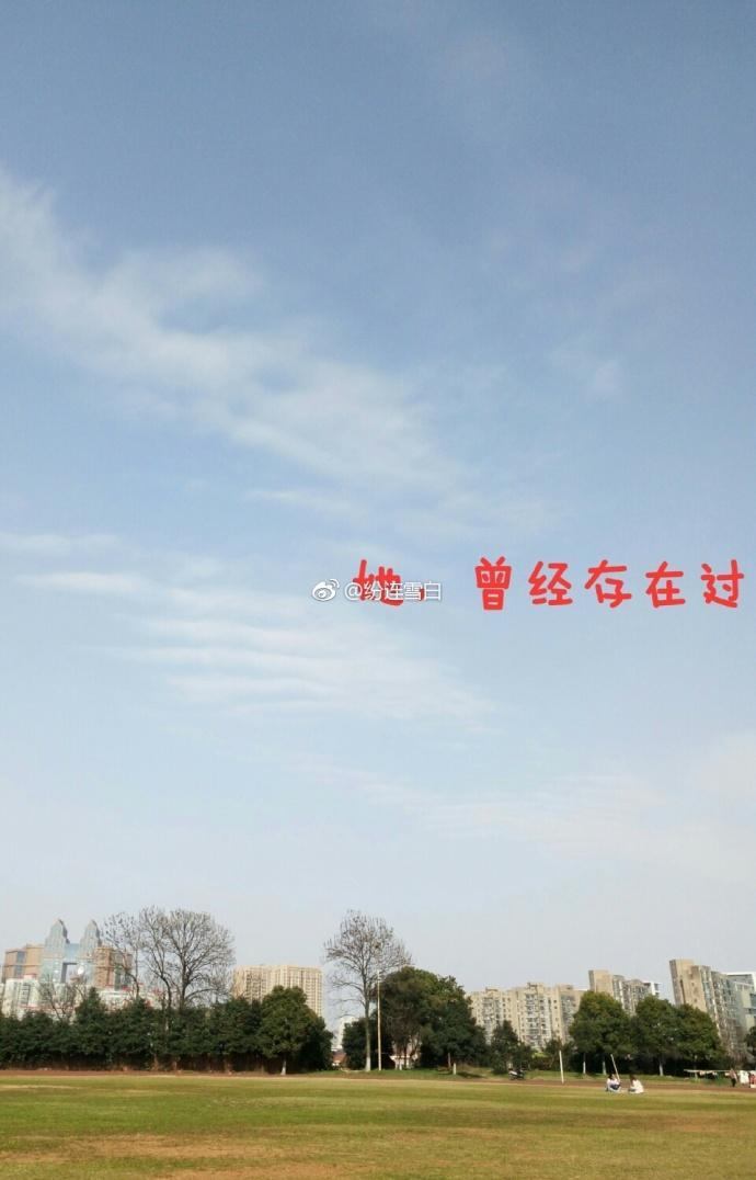 她，曾经存在过封面