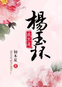 我不是杨玉环封面