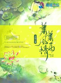 萧萧风雨情封面