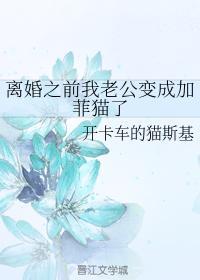 离婚之前我老公变成加菲猫了封面