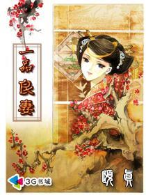 一品良妻封面