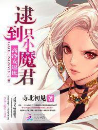 高冷女逗比：逮到一只小魔君封面