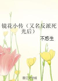 镜花小传封面