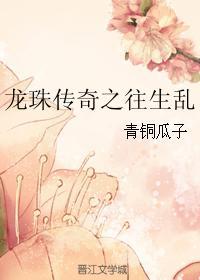 龙珠传奇之往生乱封面